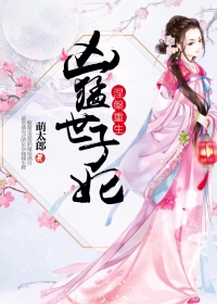 全职法师宇风干穆宁雪电子书封面