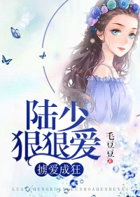 婚前试爱汉语完整版免费电子书封面